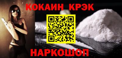 гашик Кингисепп