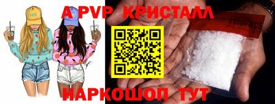 гашик Кингисепп