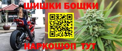 СК Камышлов