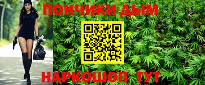 гашик Кингисепп
