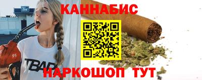 гашик Кингисепп
