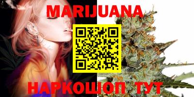 гашик Кингисепп