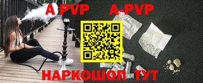 гашик Кингисепп