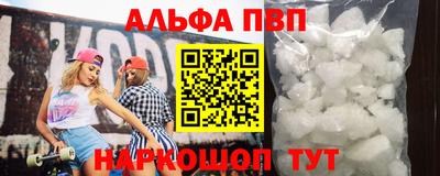 гашик Кингисепп