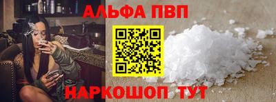 гашик Кингисепп