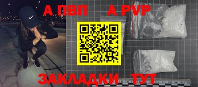 гашик Кингисепп