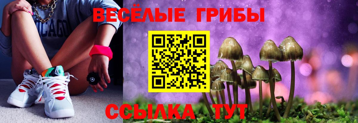 Галлюциногенные грибы прущие грибы Буйнакск